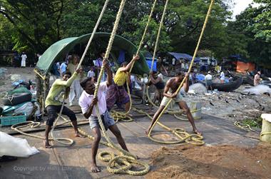 Chinese Fishing nets, Cochin_DSC6029_H600